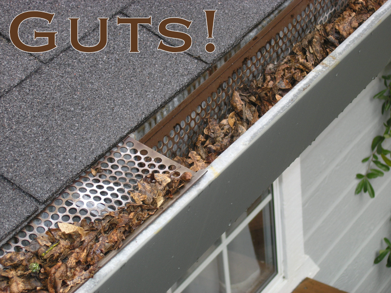 Ad of gutters: Guts!